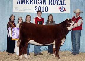 KJ BJ 544T Mistress 083W