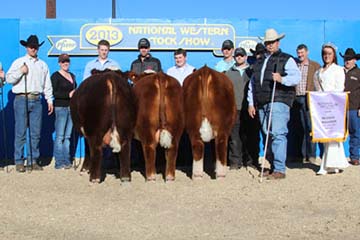 Reserve Overall Grand Champion Denver Pen