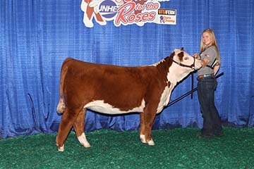 KJ BJ 686Z Cher 753D ET