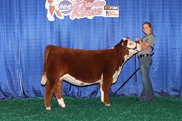 KJ BJ 339A Adora 745D ET