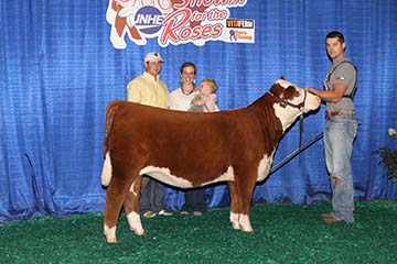 KJ BJ 339A Truffle 747D ET