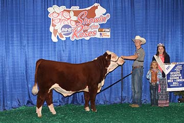 KJ BJ 339A Daytona 752D ET