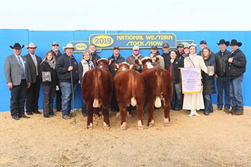 Reserve Grand Overall Pen of Bulls at Denver 2019