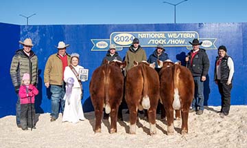 2024 Reserve Junior Pen of Bulls NWSS