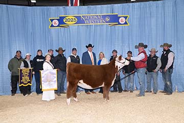 GKB 1314 CHER M127 ET