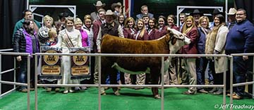 KJ BJ 686Z Salsa 264C