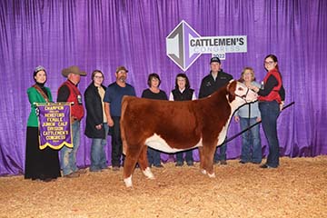 KJ 746D Coco Delight 268J ET