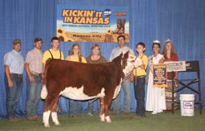 KJ 103R Bittersweet 317X