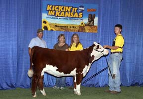 KJ BJ 325S Bridgett 329X