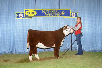 KJ BJ 319X Tiffany 382C