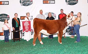 KJ 746D Coco Cream 536J