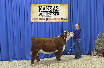 645D - Catapult Daughter