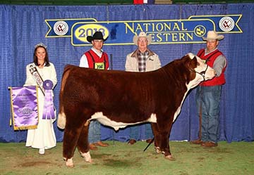 KJ 968R POLLED SOLUTION 668ZET