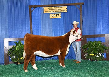 KJ BJ 668Z Cher 753D ET