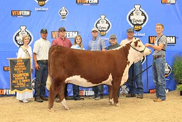 KJ BJ 668Z Cher 753D ET