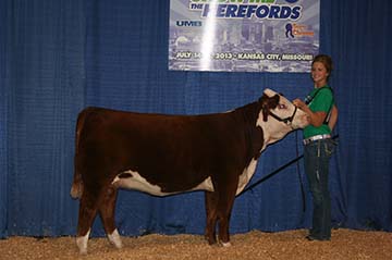 KJ BJ 319X Latte 759Z