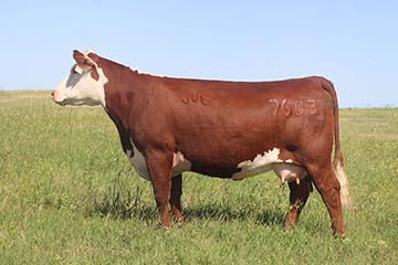 BR Validated B413 5064 7603