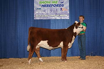 KJ BJ 831U Tamar 762Z