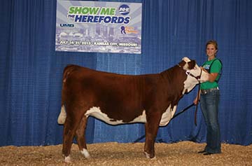 KJ 936P Rose Bud 763Z ET