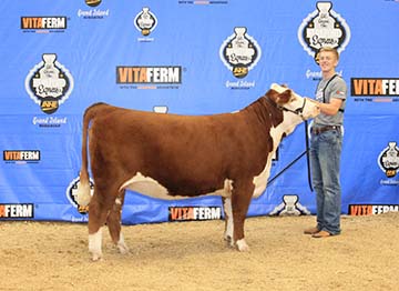 KJ BJ 339A Adele 856E ET