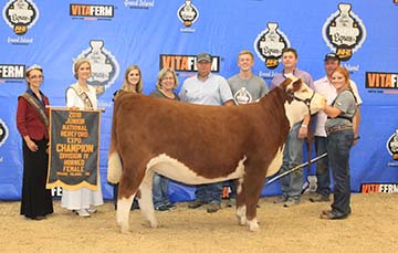 KJ BJ 339A Adabelle 899E ET