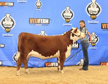 KJ BJ 876A Autumn Gal 912E