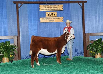 KJ BJ 062B Sweetheart 945E