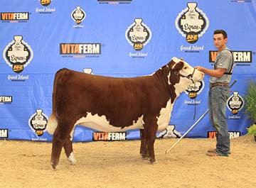 KJ BJ 062B Sweetheart