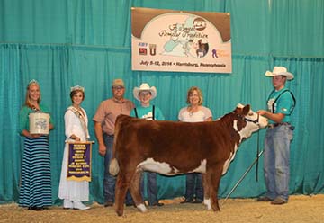 KJ BJ 274S Misty 969A ET