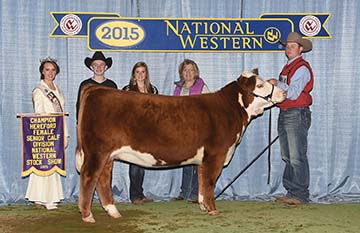 KJ BJ 274S Misty 969A ET