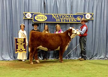 KJ BJ 274S MISTY 969A ET