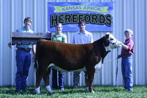 KJ BJ 655T Mistress 083W