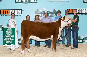 KJ BJ ZSA ZSA 176F ET