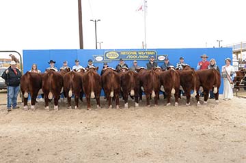 Fall Champion Carload