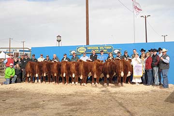 Reserve Champion Overall Carload