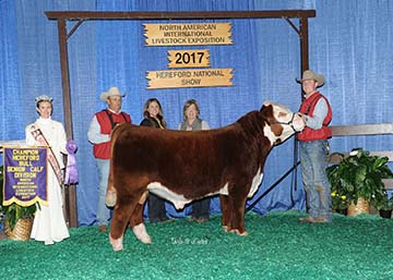 KJ BJ 58Z Contender D56 ET