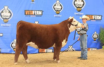 KJ BJ 167X Emily E68 ET