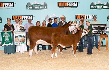 KJ BJ 339A Adabelle 899E ET