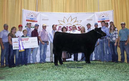 Grand Champion Steer