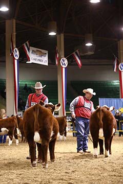 Showtimes Hall of Fame 2016