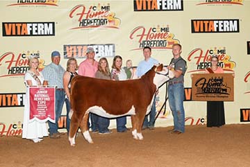 KJ BJ 5349 Harley 760G ET