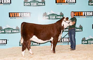 KJ B002 Misty Meghan F5 ET