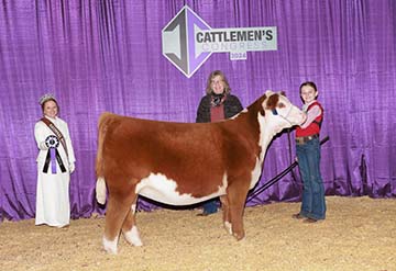 KJ 746D Coco Madonna 201L ET