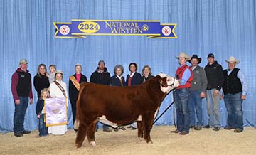 KJ 7603 Element 019L ET