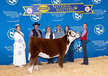 KJ DCC 181H Gemstone 916N ET