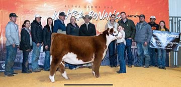 KJ 746D COCO Madonna 201L ET