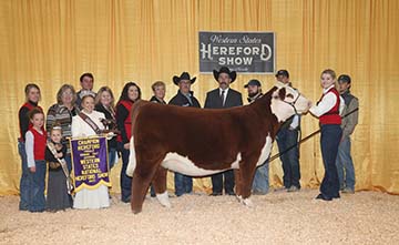 KJ TWJ 907E Martini 936K ET