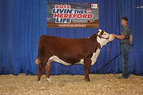 H RW Mirabella 1217 ET