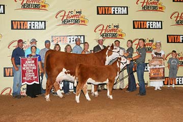 KJ B002 Misty Cat F2 ET