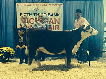 Grand Champion Female